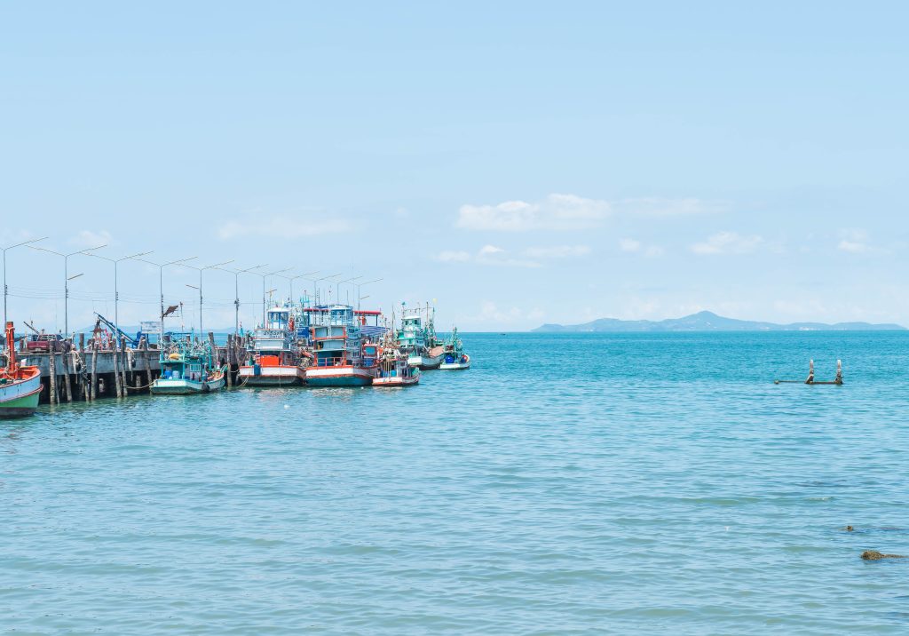 Premières cages flottantes pour l’aquaculture marine au Sénégal à Diakhanor